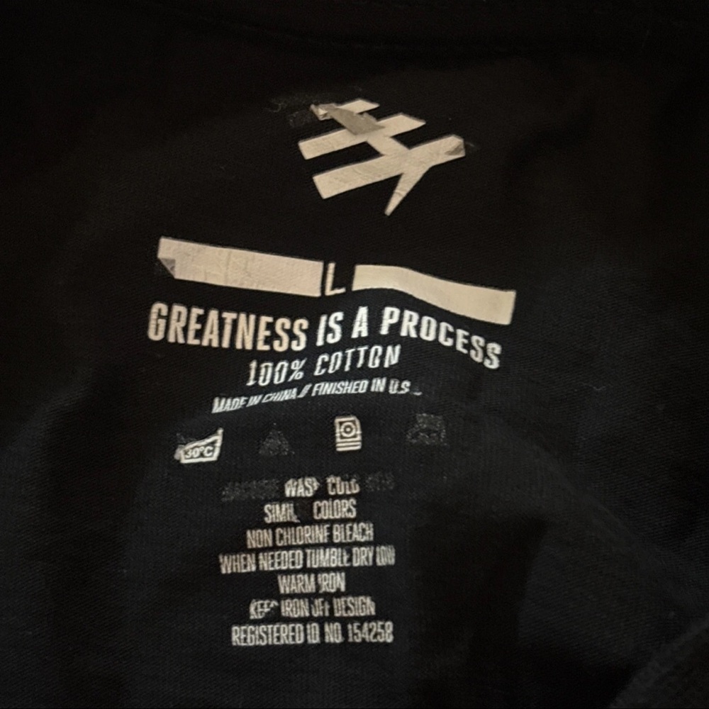 PAPER PLANES Mens BIRDS OF A FEATHER Shirt Greatness Is A Process Size Large - Picture 7 of 14